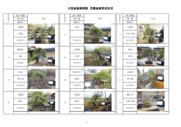 大宮盆栽美術館所蔵盆栽育成状況（平成26年3月）（PDF形式：3550KB）