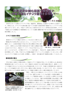 田原市 天野 亘さん 施設果樹（イチジク） （PDFファイル:432kb）