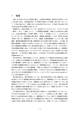 1 概要