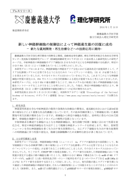 新しい神経幹細胞の制御法によって神経産生能の回復に成功