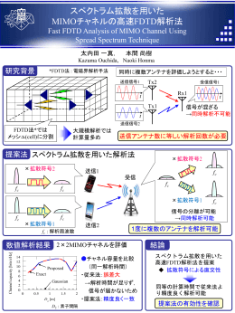 スペクトラム拡散を用いた MIMOチャネルの高速FDTD解析法 Fast