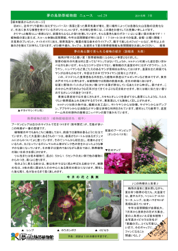 2015/07/09更新『夢の島熱帯植物館 ニュース vol.29』