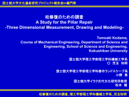 柱修復のための調査