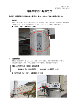 (1)道路の球切れ対応方法 - 東所沢和田 3丁目自治会