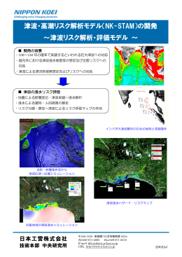 津波・高潮リスク解析モデル