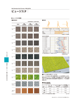 ビュージスタ（PDF：760KB）