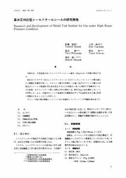 高水圧対応型シール ドテールシールの研究開発