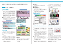 ヒトiPS細胞を用いた新規in vitro毒性評価系の構築（PDF：622KB）