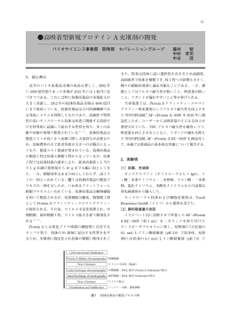 高吸着型新規プロテイン A 充塡剤の開発