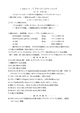 （コロニー）／［プラーク］スクリーニング