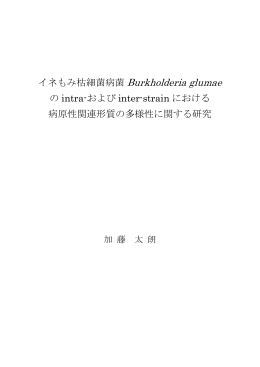 イネもみ枯細菌病菌 Burkholderia glumae の intra-および inter