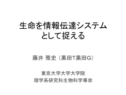 藤井,4.2Mb