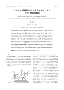 12R7103_城井哲也_法政大学紀要 R