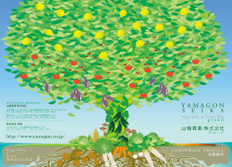 山権青果グループの