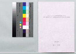 2001年 森口 茂樹