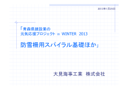 防雪柵用スパイラル基礎 3375KB