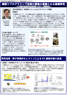 基礎研究コーナー