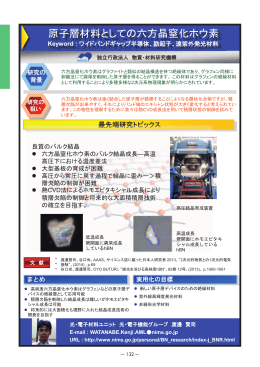 原子層材料としての六方晶窒化ホウ素 - 研究者