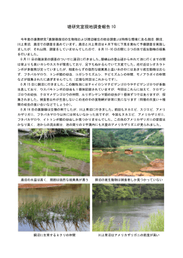 湯沼にて連携研究「裏磐梯湖沼の生物相および周辺植生の総合調査」