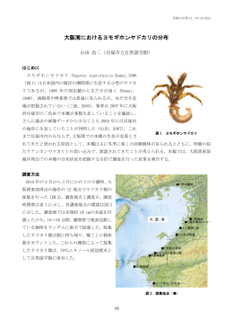 大阪湾におけるヨモギホンヤドカリの分布（PDF