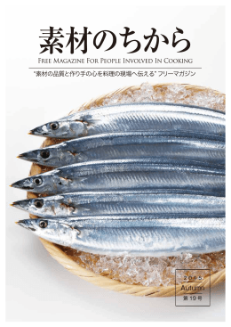 PDFファイル ダウンロード（12.7MB）