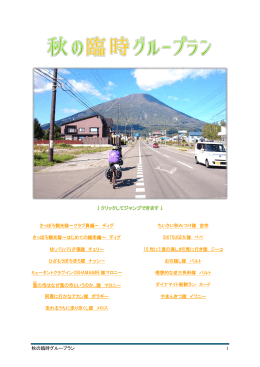 臨時グループラン