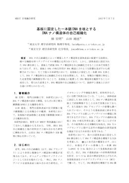 基板に固定した一本鎖 DNA を核とする DNA ナノ構造体の自己組織化