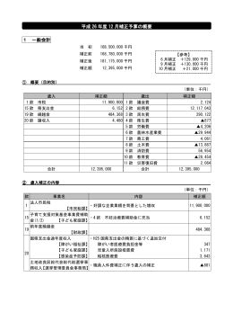 12月補正予算の概要 （PDF 150.1KB）