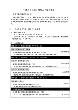 3月補正予算の概要 [30KB pdfファイル]