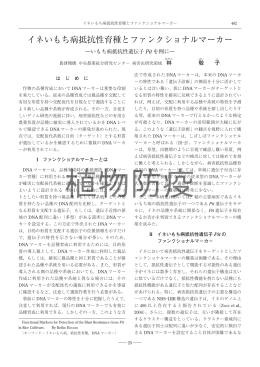 イネいもち病抵抗性育種とファンクショナルマーカー ―いもち病抵抗性