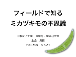 資料（PDF）