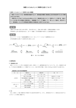 砂防ソイルセメント(INSEM 工法)について