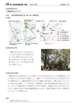 須賀神社とムクノキ（PDF形式 63キロバイト）