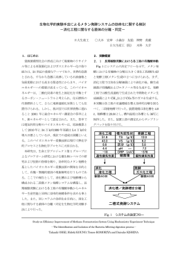 生物化学的実験手法によるメタン発酵システムの効率化に関する検討