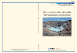 阿蘇山一の宮および白水火山観測井コア試料の岩相記載