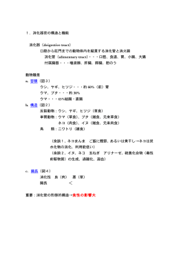 1．消化器官の構造と機能 消化器（deigestive tract） 口腔から肛門まで