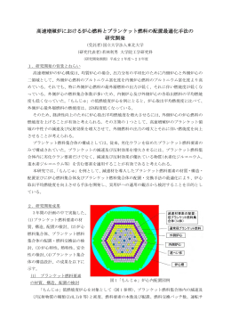高速増殖炉における炉心燃料とブランケット燃料の配置最適化手法の