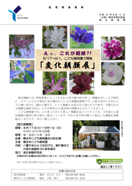 「変化朝顔展」 - 横浜市緑の協会