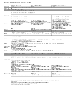 2013 AA/JAL BUSINESS AADVANTAGE（2013年4月1日～2014年3