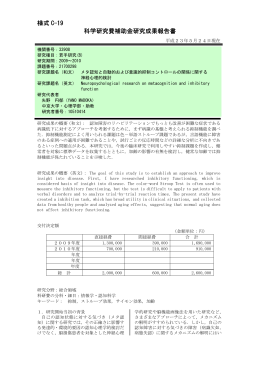 様式 C-19 科学研究費補助金研究成果報告書