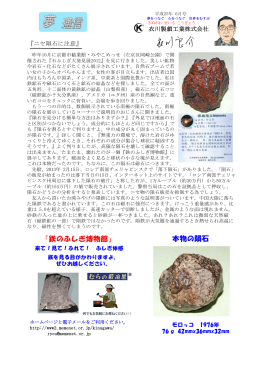 ニセ隕石に注意