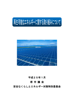 再生可能なエネルギーに関する取り組みについて(PDF:208KB)