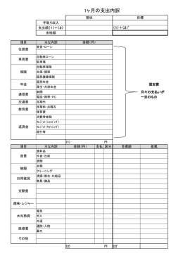 1ヶ月の支出内訳
