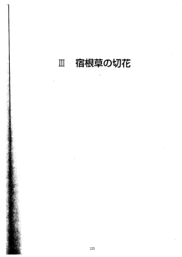 3 宿根草の切花（PDF：1721KB）