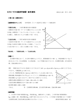 ミクロ・マクロ経済学演習 配布資料
