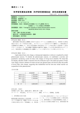 研究成果報告書 - KAKEN - 科学研究費助成事業データベース