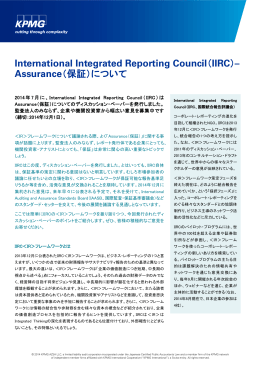 International Integrated Reporting Council（IIRC
