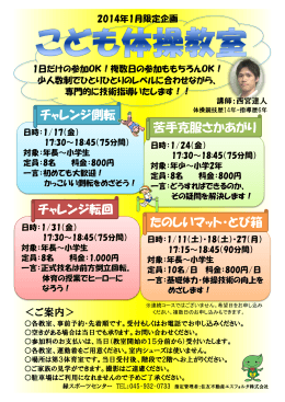 チャレンジ側転 苦手克服さかあがり チャレンジ転回 たのしいマット・とび箱