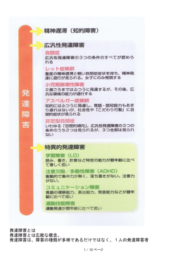 研究発表資料 （1）アスペルガー症候群について（PDF：2879KB）
