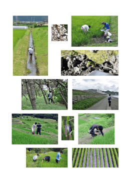 6 月 20 日木更津市田川地区害虫調査